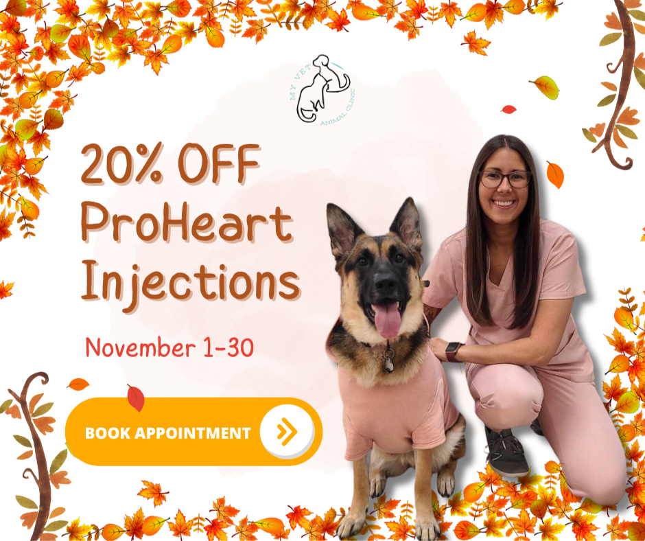 20% OFF-ProHeart-Injections