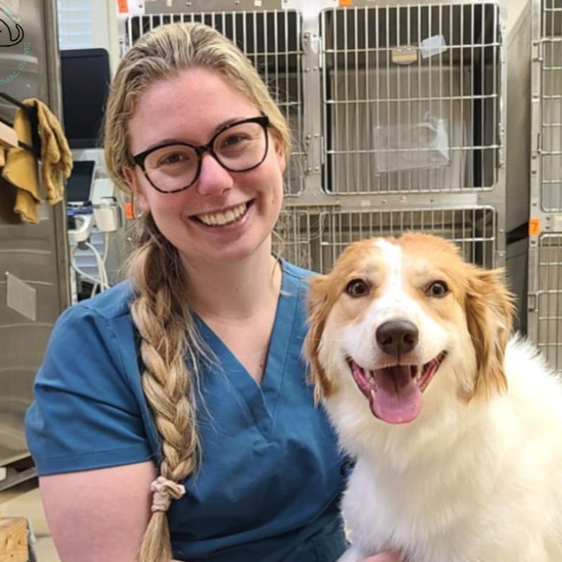 veterinarian with a stethoscope holding a cat